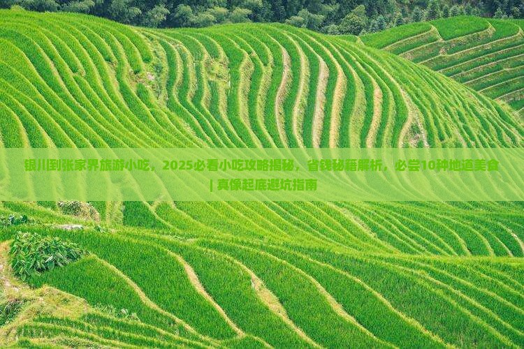 银川到张家界旅游小吃