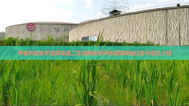 伊春到张家界玻璃栈道二日游