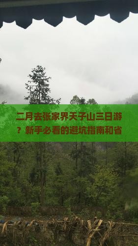 二月去张家界天子山三日游