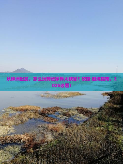株洲到张家界大峡谷旅游 株洲到张家界大峡谷旅游