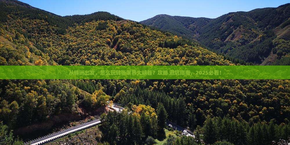 株洲到张家界大峡谷旅游 株洲到张家界大峡谷旅游