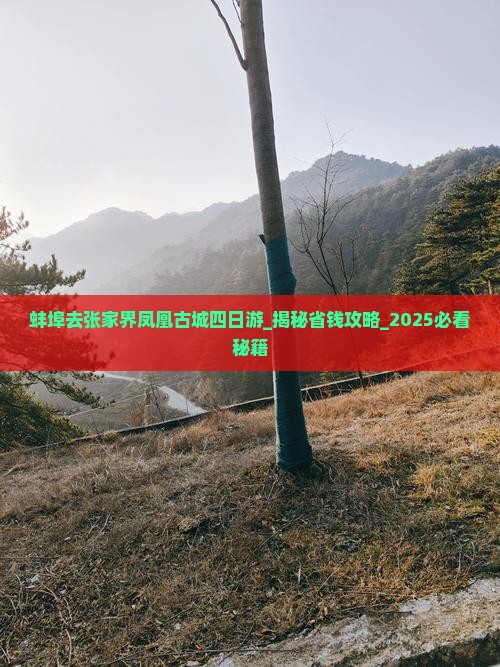 蚌埠去张家界凤凰古城四日游