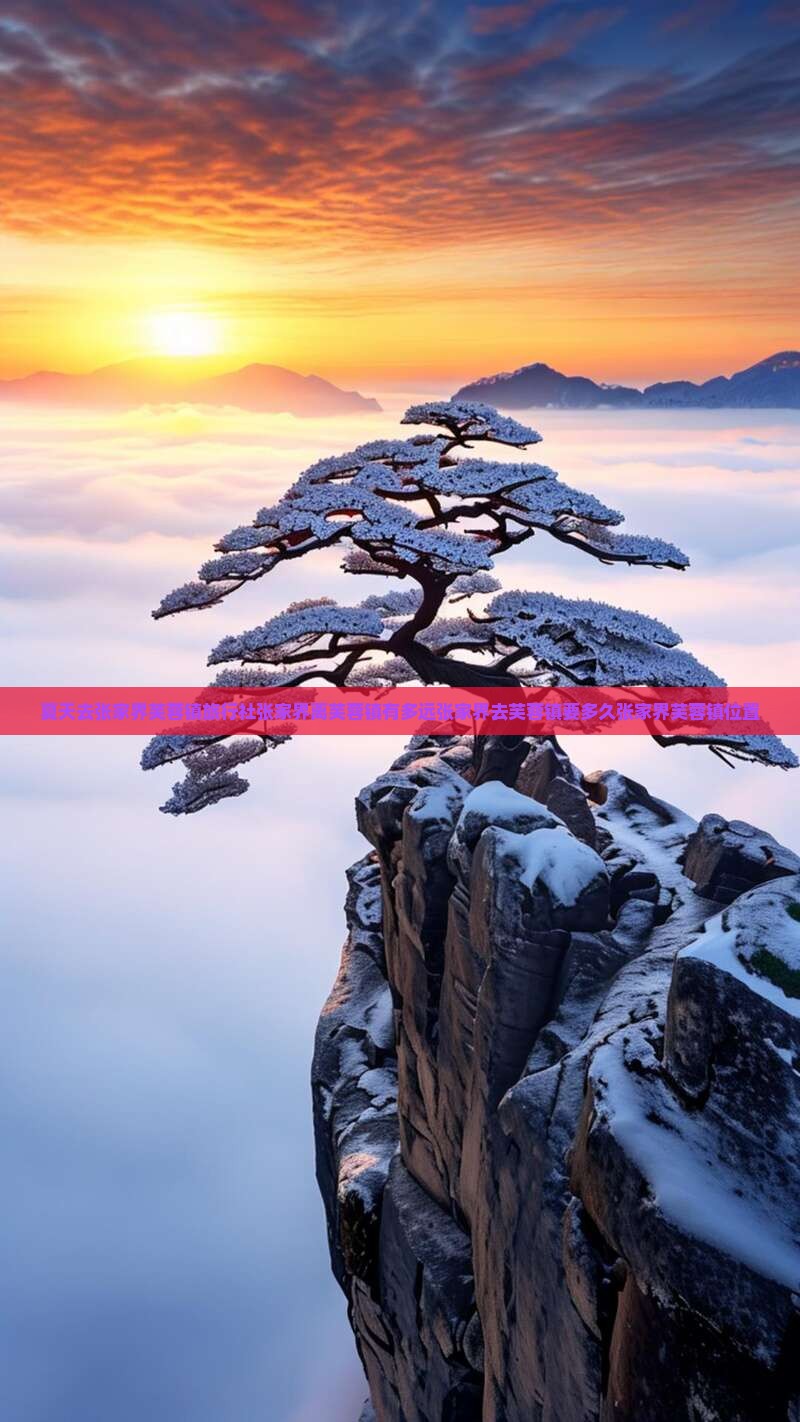 夏天去张家界芙蓉镇旅行社