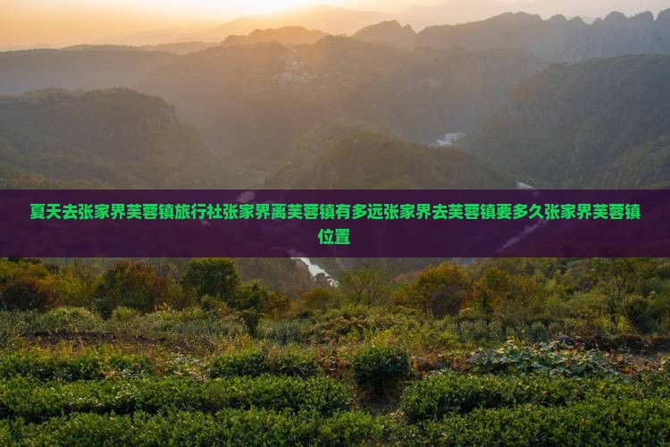 夏天去张家界芙蓉镇旅行社