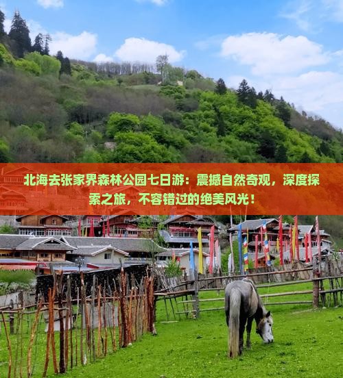 北海去张家界森林公园七日游