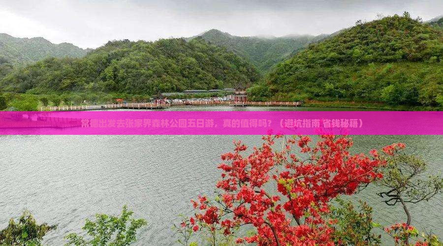 常德去张家界森林公园五日游