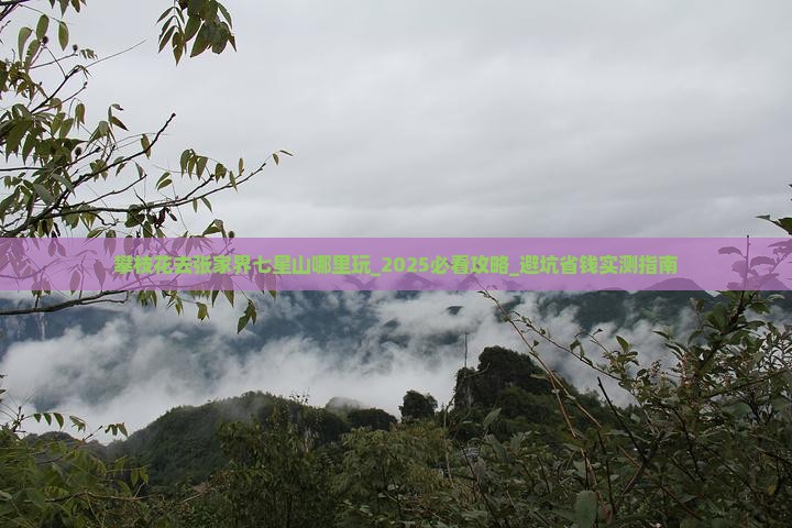 攀枝花去张家界七星山哪里玩