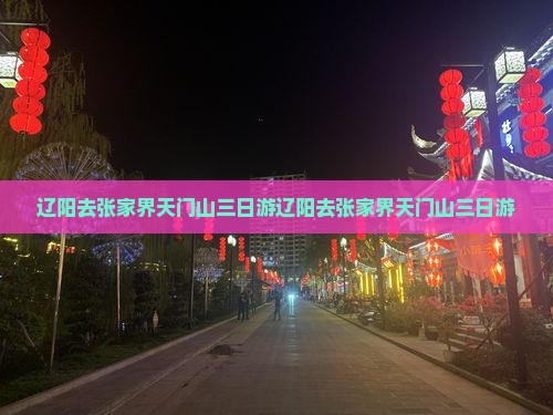 辽阳去张家界天门山三日游