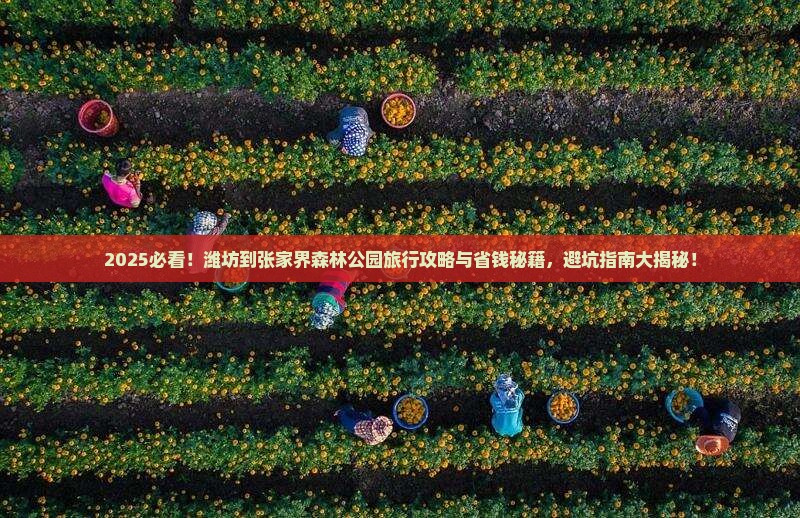 潍坊到张家界森林公园旅行社