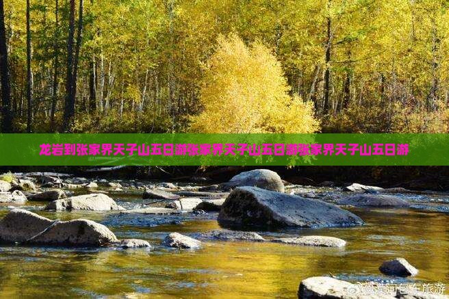 龙岩到张家界天子山五日游