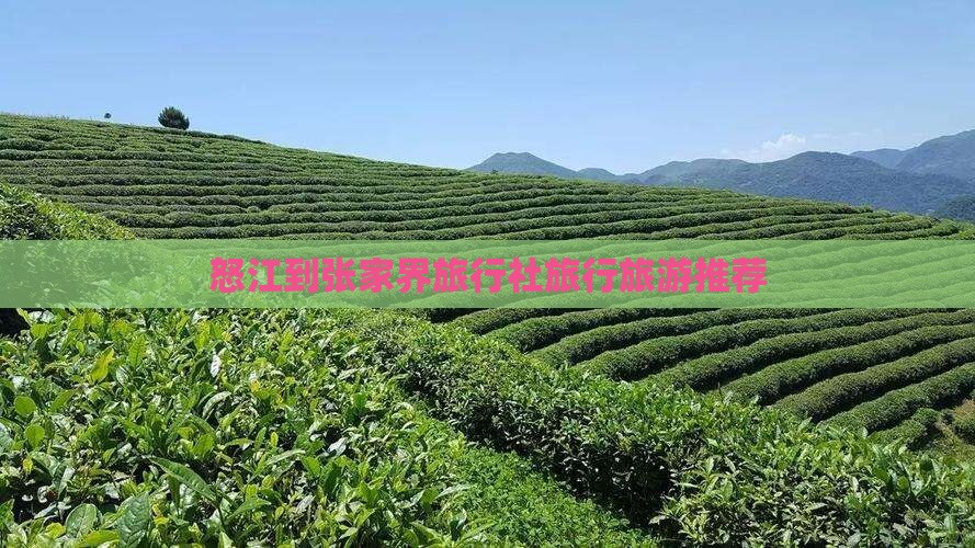 怒江到张家界旅行社