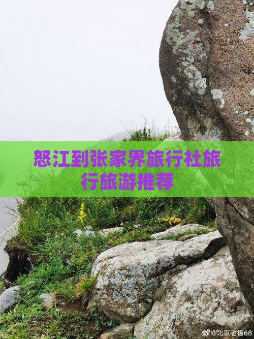 怒江到张家界旅行社