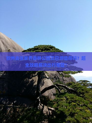 钦州去张家界森林公园三日游