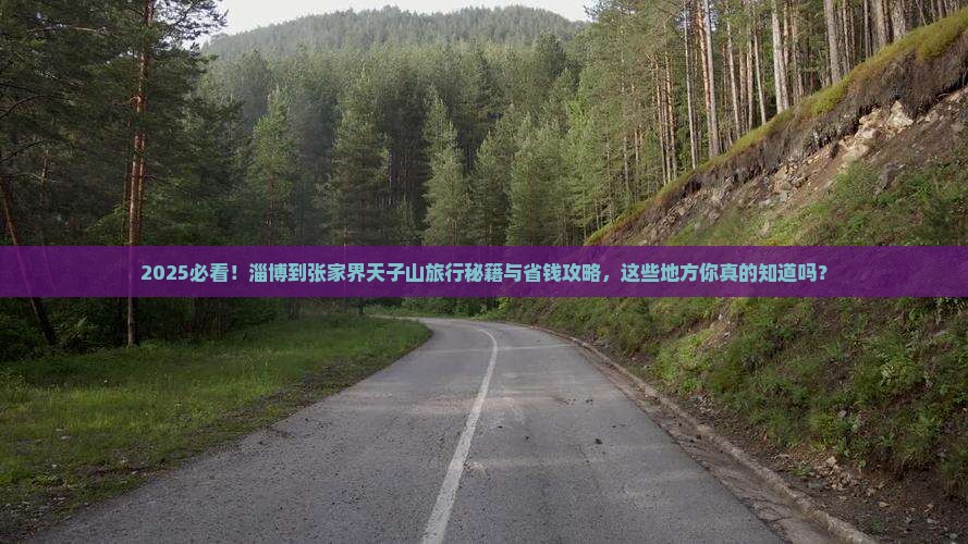 淄博到张家界天子山哪里玩