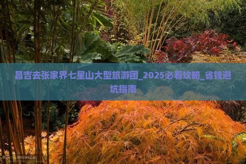 昌吉去张家界七星山大型旅游团