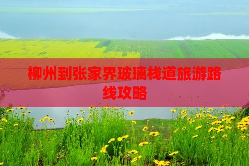 柳州到张家界玻璃栈道个人游