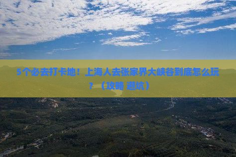 上海去张家界大峡谷必去地