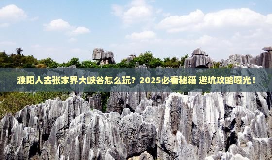 濮阳去张家界大峡谷旅游