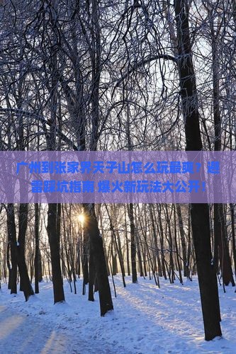 广州到张家界天子山哪里玩