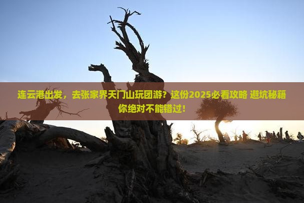 连云港到张家界天门山团体旅游