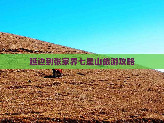 延边到张家界七星山景点