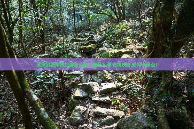 武汉到张家界旅游