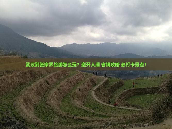 武汉到张家界旅游