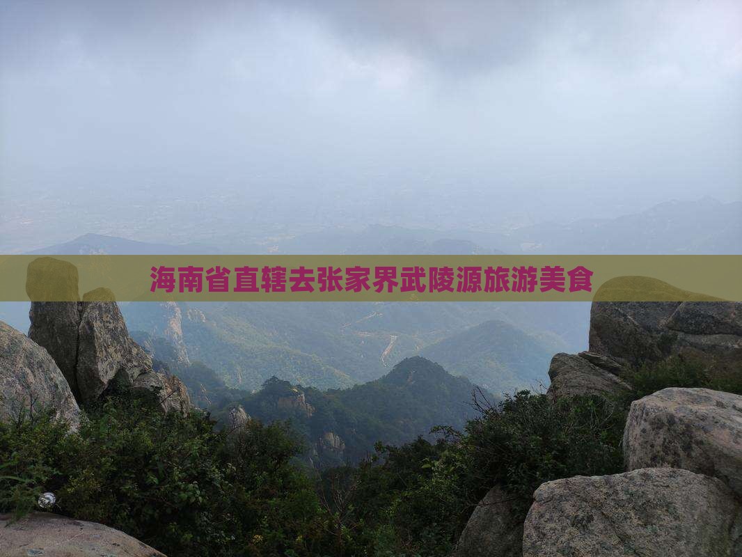 海南省直辖去张家界武陵源旅游小吃