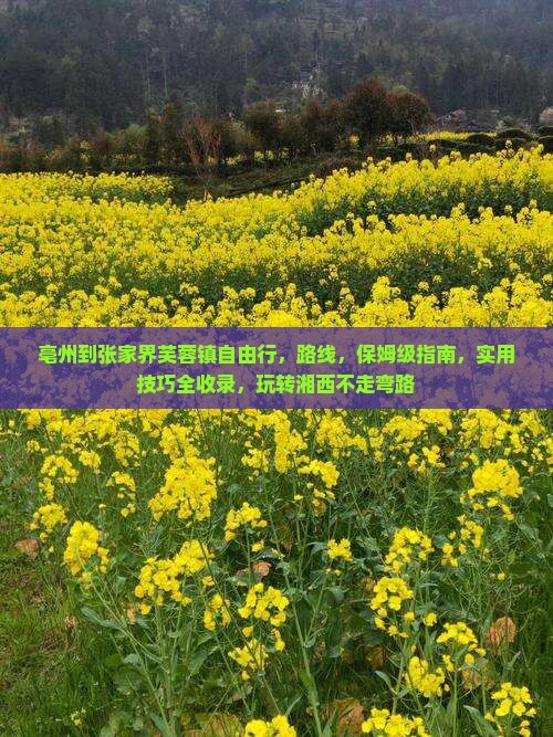 亳州到张家界芙蓉镇自由行