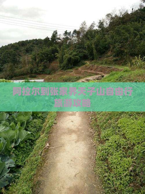阿拉尔到张家界天子山自由行