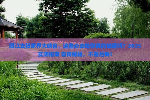 阳江去张家界大峡谷必去地
