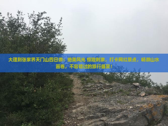 大理到张家界天门山四日游