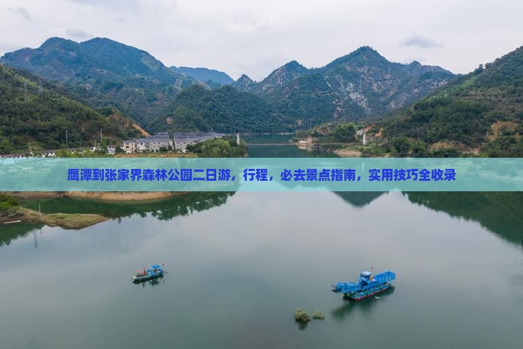 鹰潭到张家界森林公园二日游