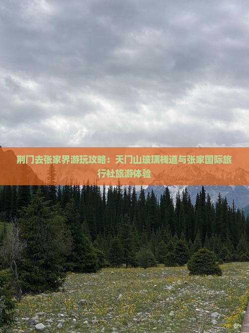 荆门去张家界玻璃栈道攻略