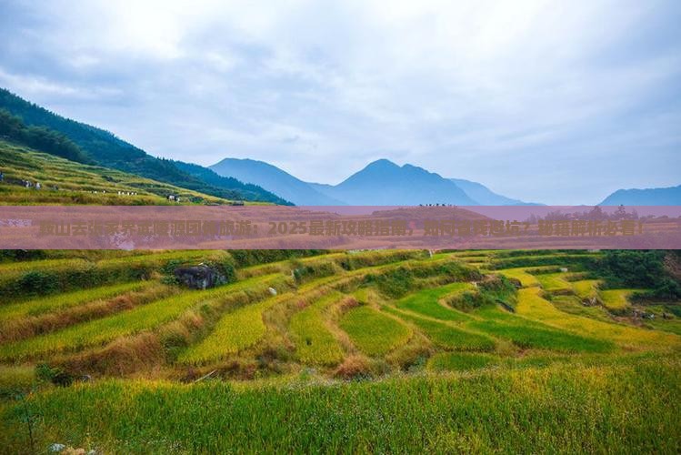 鞍山去张家界武陵源团体旅游