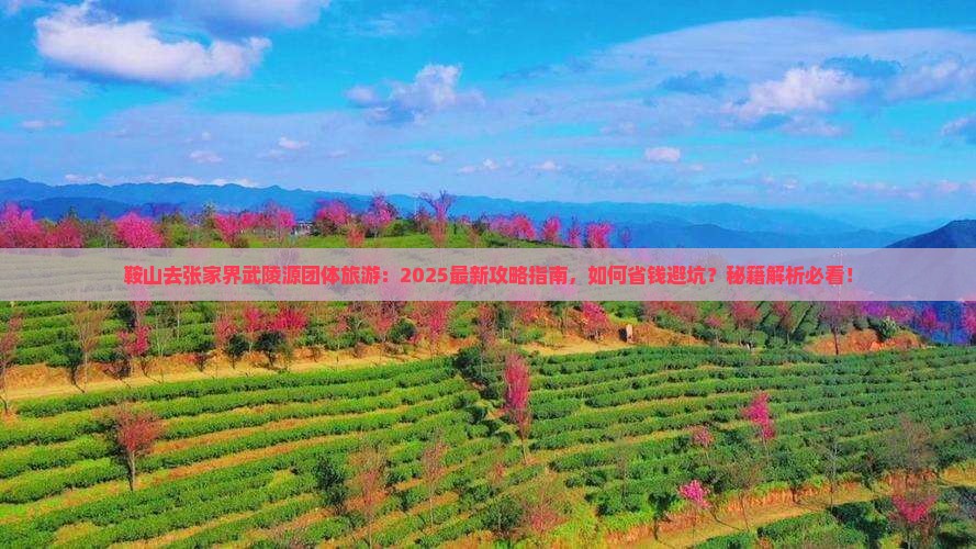 鞍山去张家界武陵源团体旅游