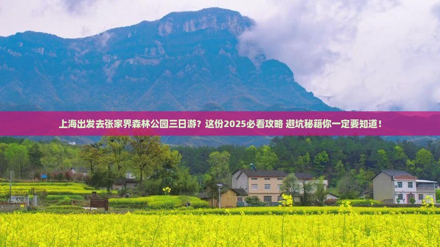 上海到张家界森林公园三日游