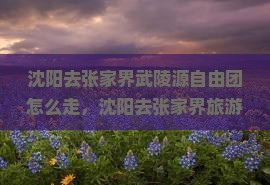 沈阳去张家界武陵源自由团