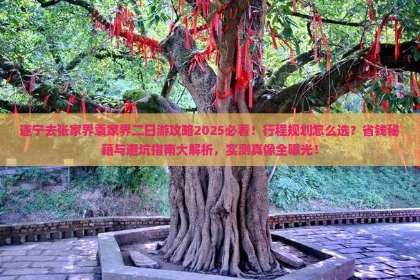 遂宁去张家界袁家界二日游