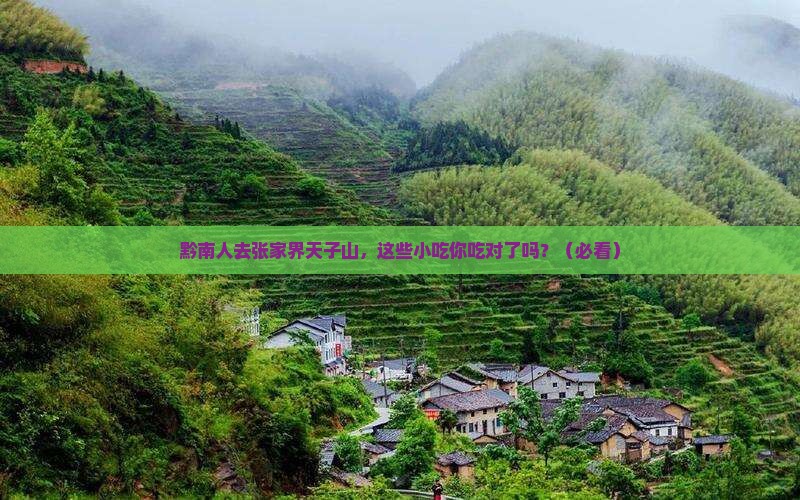 黔南去张家界天子山旅游小吃