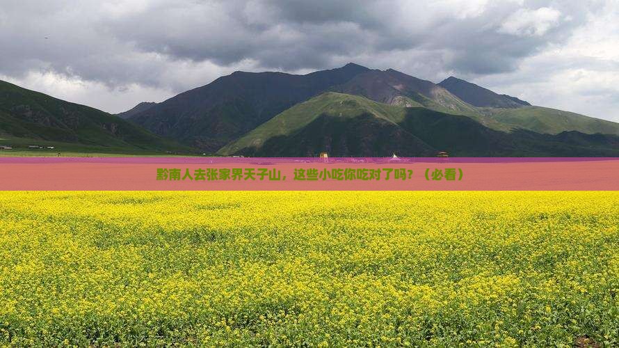 黔南去张家界天子山旅游小吃