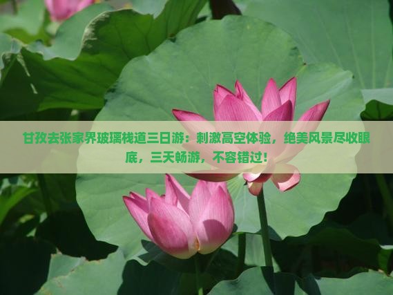 甘孜去张家界玻璃栈道三日游