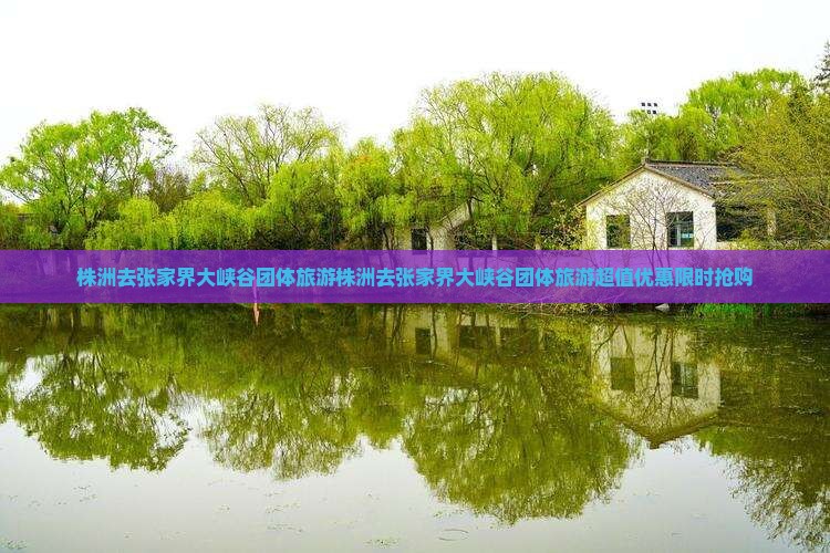 株洲去张家界大峡谷团体旅游