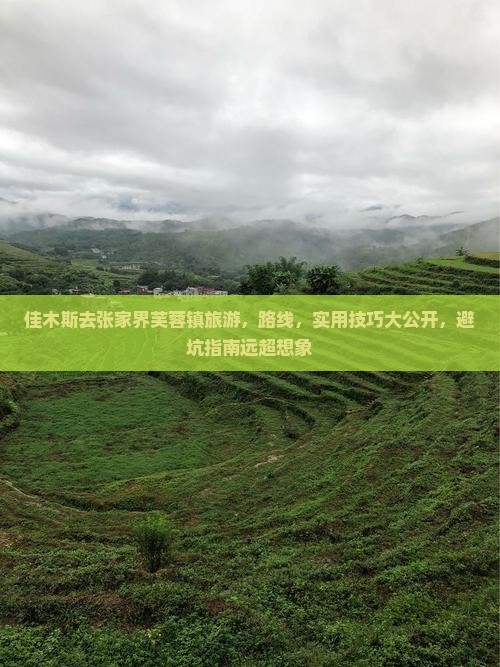 佳木斯去张家界芙蓉镇旅游