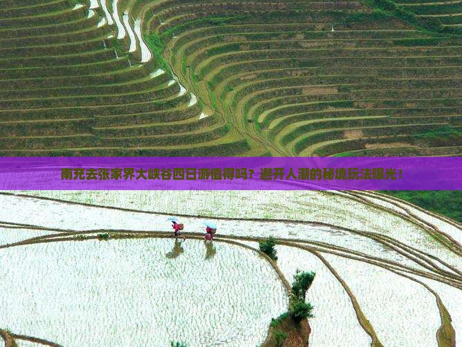 南充去张家界大峡谷四日游