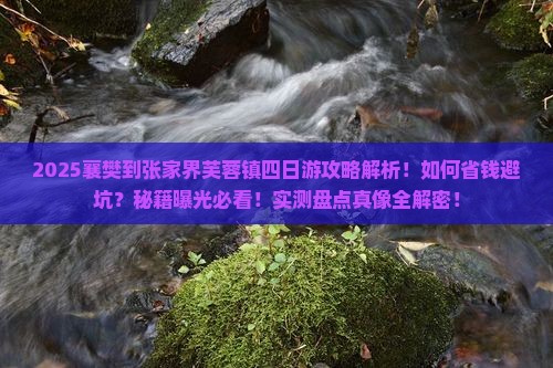襄樊到张家界芙蓉镇四日游