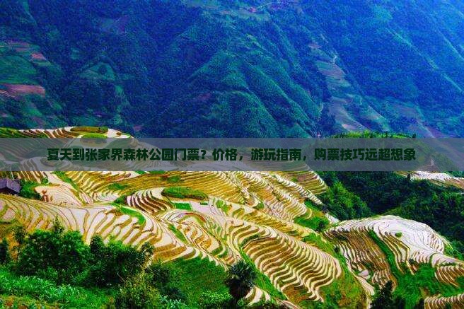夏天到张家界森林公园门票