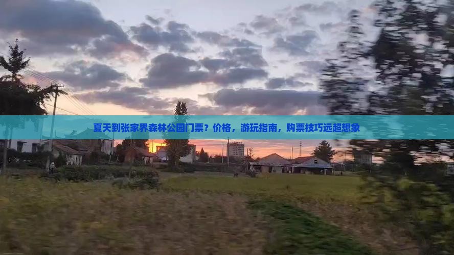 夏天到张家界森林公园门票