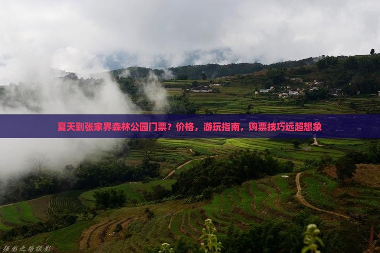 夏天到张家界森林公园门票