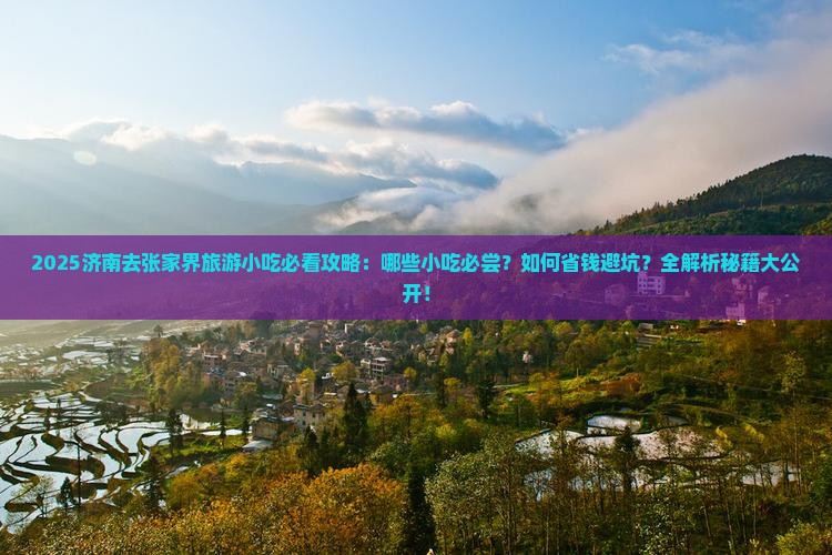 济南去张家界旅游小吃